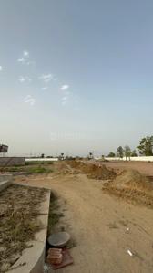 Praise Green Plot View 2