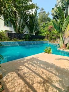 Image of 1800 Sq.ft 2 BHK Penthouse for sale in Assagao, Goa for Rs. 32000000