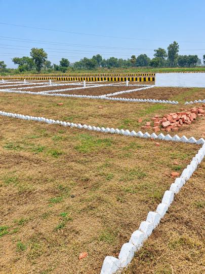 Bihta Main Image 1