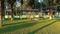 Bhoomatha Sugandha medows Plot View 2