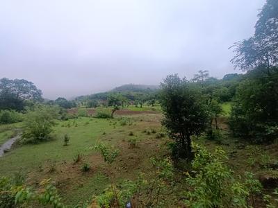 Kurungwadi Plot View 3