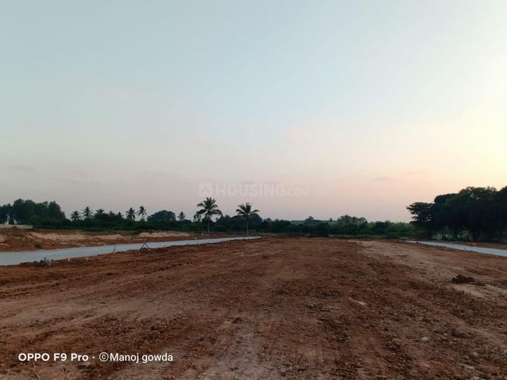 Aakarshan Athena Main Image 1