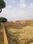 Sarnath Plot View 2