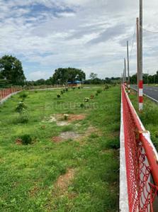 Thaluru Plot View 2