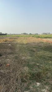 Babatpur Plot View 2