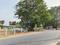 KRISHNA AVENUE Plot View 2