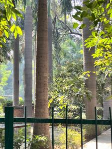 12 BHK Independent House