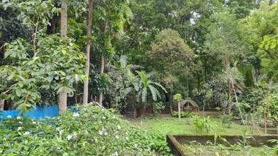Image of 2788 Sq.ft 4 BHK Independent House for sale in Falakata, Alipurduar for Rs. 3000000