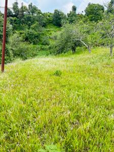 Image of 1320 Sq.ft Residential Plot / Land for sale in Mukteshwar, Nainital for Rs. 14900000