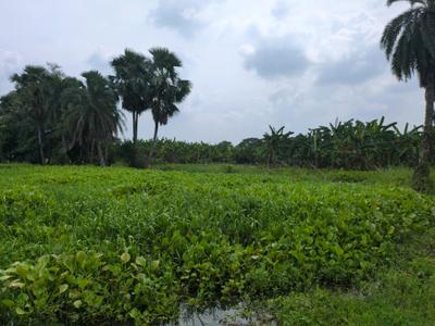 Image of 2160 Sq.ft Residential Plot / Land for sale in Joka, Kolkata for Rs. 510070