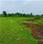 Bihta Main Image 1