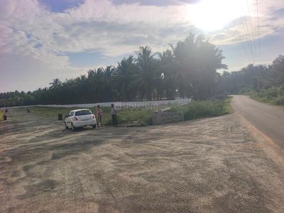 Thamaraikulam Plot View 2