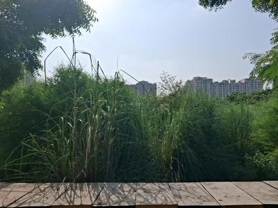 Freehold Plots Suitable For Builders Floor Appartments Plot View 1
