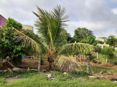 Image of 2175 Sq.ft Residential Plot / Land for sale in Avalapalli, Hosur for Rs. 15000000