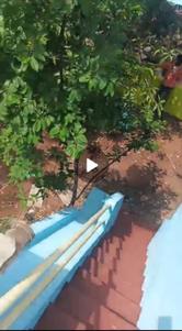 Image of 600 Sq.ft 1 BHK Independent House for rent in Hospete, Bellary for Rs. 8000