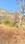 Bajoral Khurd Main Image 1
