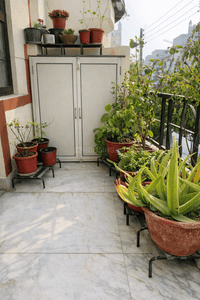 Image of 1150 Sq.ft 2 BHK Apartment / Flat for sale in Uppal Southend, Sector 49, Gurgaon for Rs. 13500000