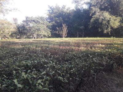 Image of 5775 Sq.ft Residential Plot / Land for sale in Podum Nagar 2, Dibrugarh for Rs. 500000