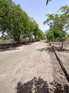Residential Plot