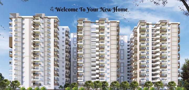 Riddhis Taranto Main Image 1