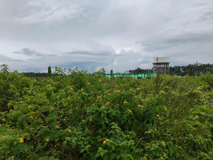 Sulikere Main Image 1