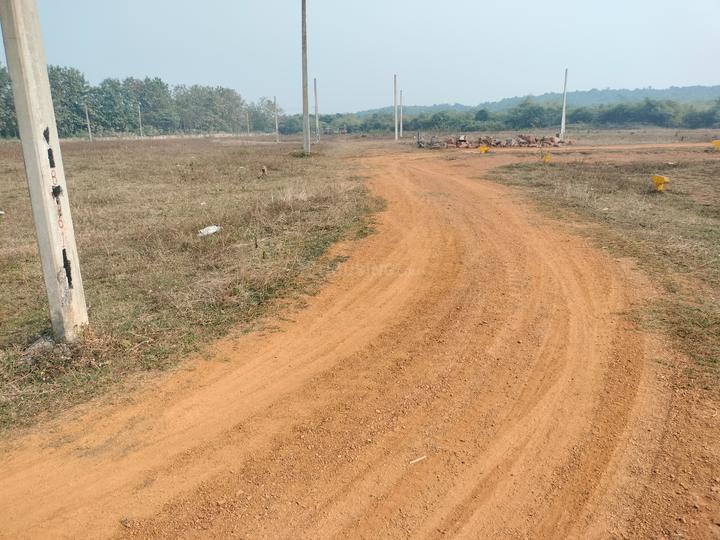 Trisulia Main Image 1