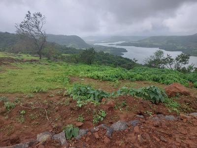 Image of 40000 Sq.ft Residential Plot / Land for sale in Bhor, Pune for Rs. 3500000