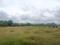 Sreenagar Main Image 1
