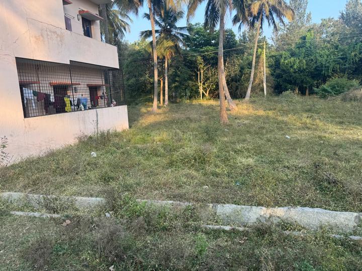 Bhoomika Royal Heritage Garden Main Image 1