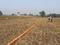 Prakritik vihar colony  Plot View 2