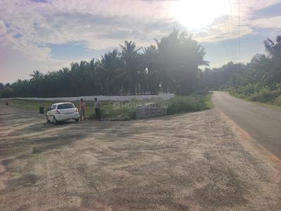 Thamaraikulam Plot View 2
