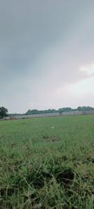 Image of 1000 Sq.ft Residential Plot / Land for sale in Safedabad, Lucknow for Rs. 425000