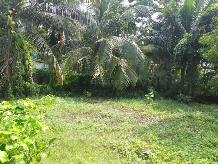 Digha Main Image 1