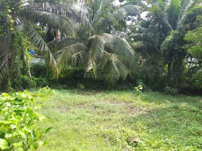 Residential Plot