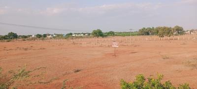 Image of 64749 Sq.ft Residential Plot / Land for sale in Madampatti, Coimbatore for Rs. 1040000000