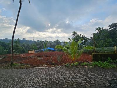 Image of 39100 Sq.ft Residential Plot / Land for sale in Aikaranad South, Kochi for Rs. 325000
