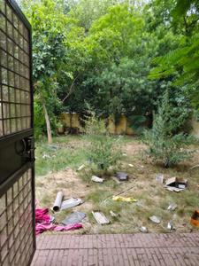 Balcony Image of 2800 Sq.ft 2 BHK Independent House for rent in Sector 50 Noida for Rs. 42000
