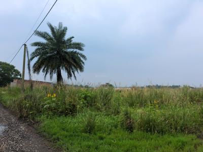 Image of 720 Sq.ft Residential Plot / Land for sale in Wander Valley, Joka, Kolkata for Rs. 266117