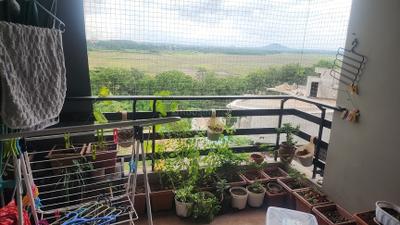 Image of 1300 Sq.ft 2.5 BHK Apartment / Flat for rent in Jhaveri Silver Lake Vista, New Rani Bagh, Indore for Rs. 32000