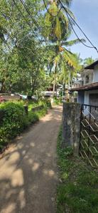 Nadakkave Plot View 3
