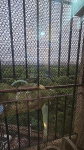 Balcony Image of 650 Sq.ft 1 BHK Apartment / Flat for sale in Shree Shiv Shankar, Kamothe Navi Mumbai for Rs. 8000000