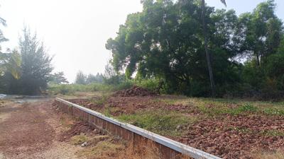 Image of 93108 Sq.ft 4 BHK Farm House for sale in Morjim, Goa for Rs. 1100000000
