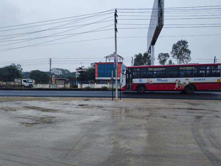 the cape Main Image 1