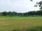 Sector 102 Plot View 2