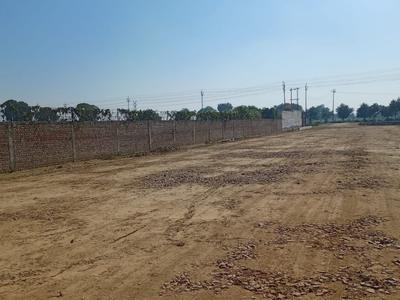 Varinda Orchid Plot View 3