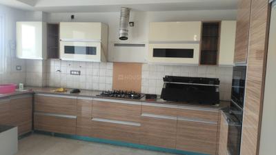 Kitchen Image of 3000 Sq.ft 4 BHK Builder Floor for rent in Sector 49 Gurgaon for Rs. 100000