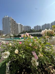 Image of 1405 Sq.ft 2 BHK Apartment / Flat for sale in Om Shiv Kailasa Phase II, Mihan, Nagpur for Rs. 6350000