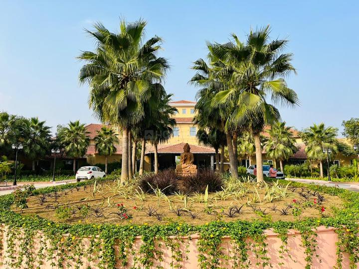 Swastik Kalpvriksh Main Image 1