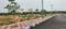 SULTHANPUR OPEN PLOTS Plot View 2