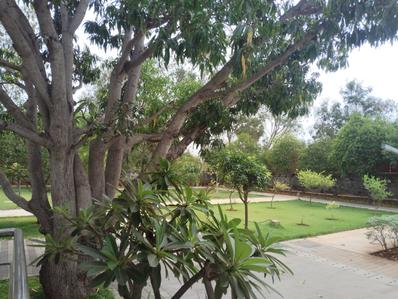 Balcony Image of 1520 Sq.ft 3 BHK Villa for sale in Arun Ziva, Mahabalipuram Chennai for Rs. 22700000